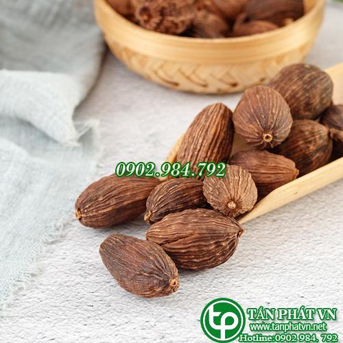 Thảo quả lợi tiêu hoá, dùng chữa đau thần kinh