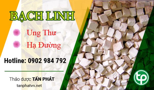 Công dụng của Bạch phục linh