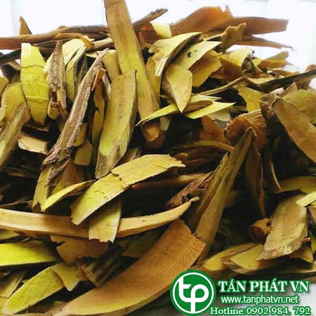 Địa chỉ mua bán Cây Ô rô tại hcm ở đâu? Địa chỉ mua bán Cây Ô rô tại hcm ở đâu?