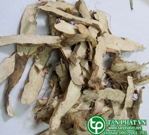 Địa chỉ mua bán Cây Thủy Xương Bồ khô tại hcm ở đâu?