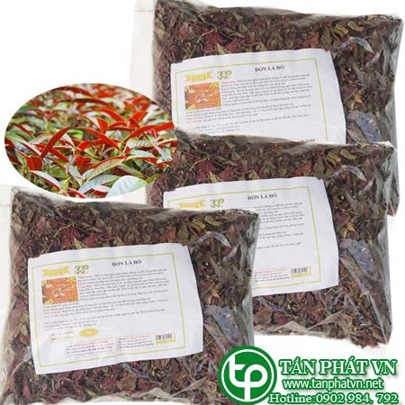 Địa chỉ mua bán sỉ lẻ Đơn lá đỏ tại hcm