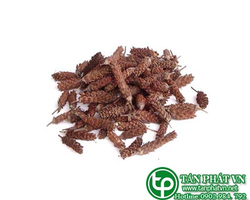 Bài thuốc và món ăn chữa bệnh sử dụng cây hạ khô thảo khô Bài thuốc và món ăn chữa bệnh sử dụng cây hạ khô thảo khô