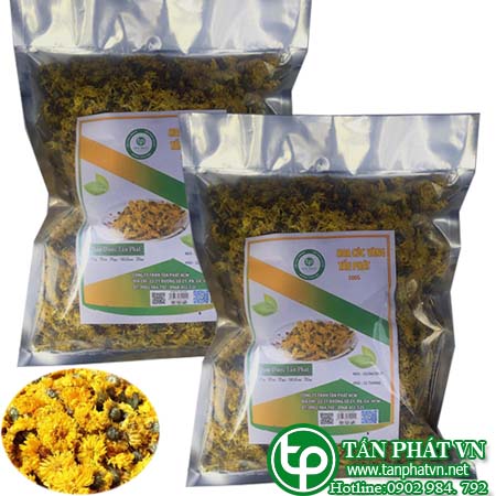 Địa chỉ mua bán trà hoa cúc tây tạng tại tphcm Địa chỉ mua bán trà hoa cúc tây tạng tại tphcm