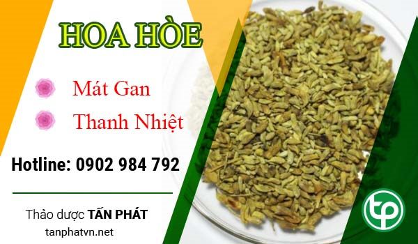 Công dụng của hoa hòe đối với sức khỏe Công dụng của hoa hòe đối với sức khỏe