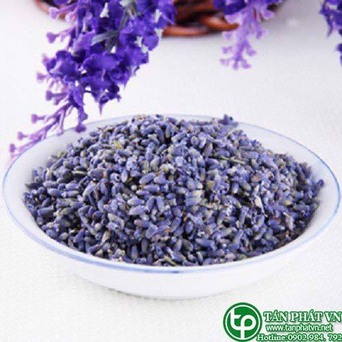 Địa chỉ mua bán sỉ lẻ Hoa Oải hương tại tphcm