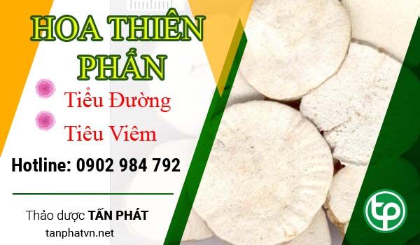 Công dụng của hoa thiên phấn trong điều trị bệnh