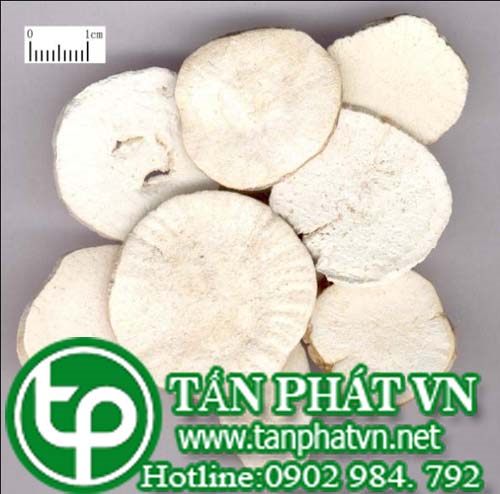 Địa chỉ mua bán sỉ lẻ dược liệu Hoa thiên phấn tại hcm