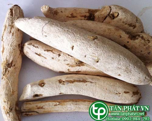 Các bài thuốc chữa bệnh sử dụng hoa thiên phấn