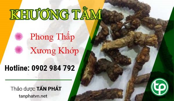 Công dụng của khương tằm đối với sức khỏe Công dụng của khương tằm đối với sức khỏe