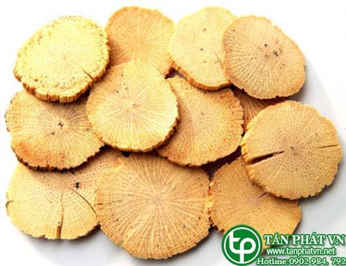 Công dụng và Cách sử dụng Mộc thông thảo đem lại hiệu quả cao