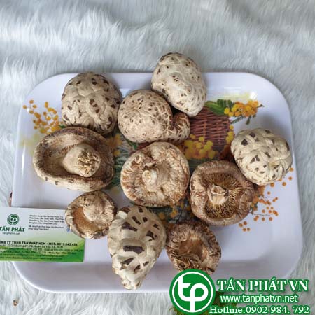 Công dụng của nấm đông cô khô đối với sức khỏe Công dụng của nấm đông cô khô đối với sức khỏe
