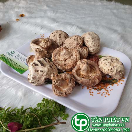 Địa chỉ mua bán nấm đông cô khô tại tphcm Địa chỉ mua bán nấm đông cô khô tại tphcm
