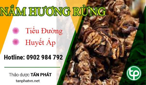 Công dụng và Cách sử dụng Cây bọ mắm đem lại hiệu quả cao Công dụng và Cách sử dụng Cây bọ mắm đem lại hiệu quả cao