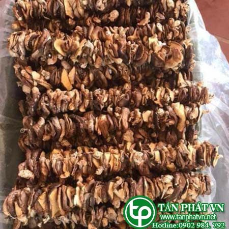 Địa chỉ mua bán Nấm hương rừng chất lượng ở đâu ? Địa chỉ mua bán Nấm hương rừng chất lượng ở đâu ?