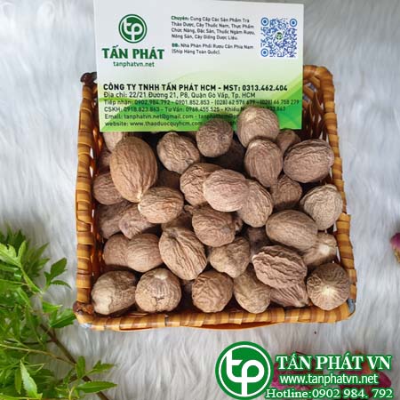 Nhục đậu khấu là gì? Giới thiệu về nhục đậu khấu. Nhục đậu khấu là gì? Giới thiệu về nhục đậu khấu.
