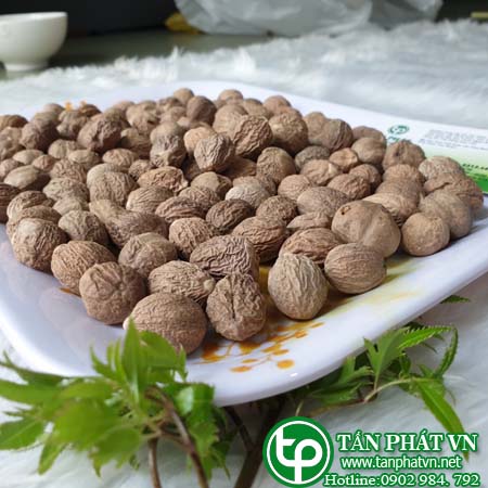 Một số bài thuốc hay sử dụng nhục đậu khấu Một số bài thuốc hay sử dụng nhục đậu khấu