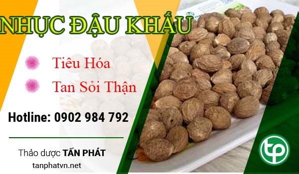 Công dụng và cách sử dụng nhục đậu khấu Công dụng và cách sử dụng nhục đậu khấu