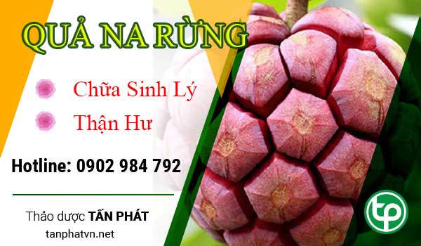 Công dụng của quả na rừng đối với sức khỏe