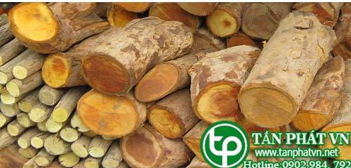 Địa chỉ mua bán Rượu cây mật gấu ở đâu ?