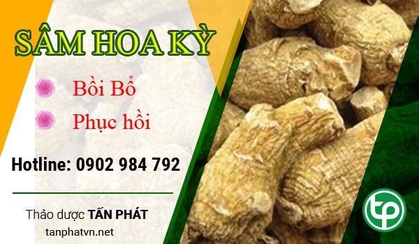 Công dụng của Sâm Hoa kỳ