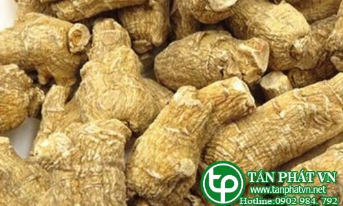 Địa chỉ mua bán sỉ lẻ nhân sâm Hoa kỳ