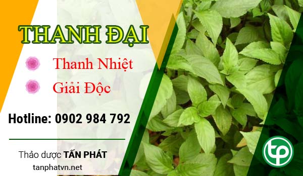 Tác dụng và công dụng của vị thuốc Thanh Đại