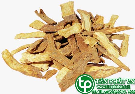 Một số bài thuốc chữa bênh sử sung tục đoan Một số bài thuốc chữa bênh sử sung tục đoan