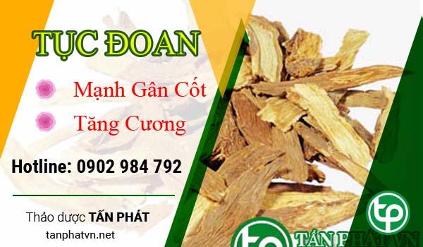 Công dụng của vị thuốc tục đoan Công dụng của vị thuốc tục đoan