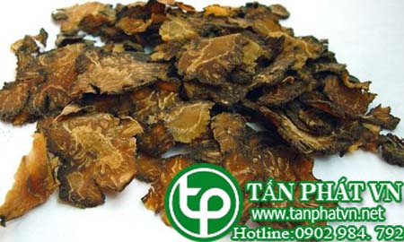 Một số bài thuốc chữa bệnh sử dụng xuyên khung. Một số bài thuốc chữa bệnh sử dụng xuyên khung.