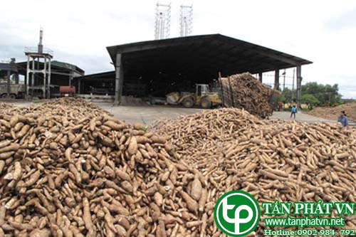 hình ảnh nhà máy sản xuất bột sắn bột khoai mì 1