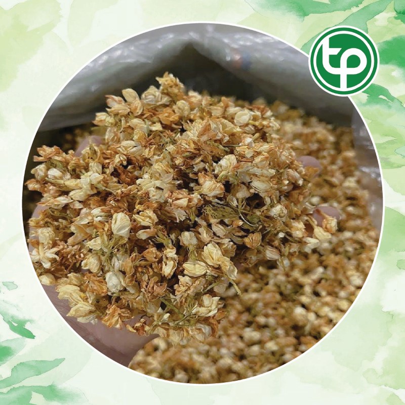 Công Dụng Chữa Bệnh Của Hoa nhài