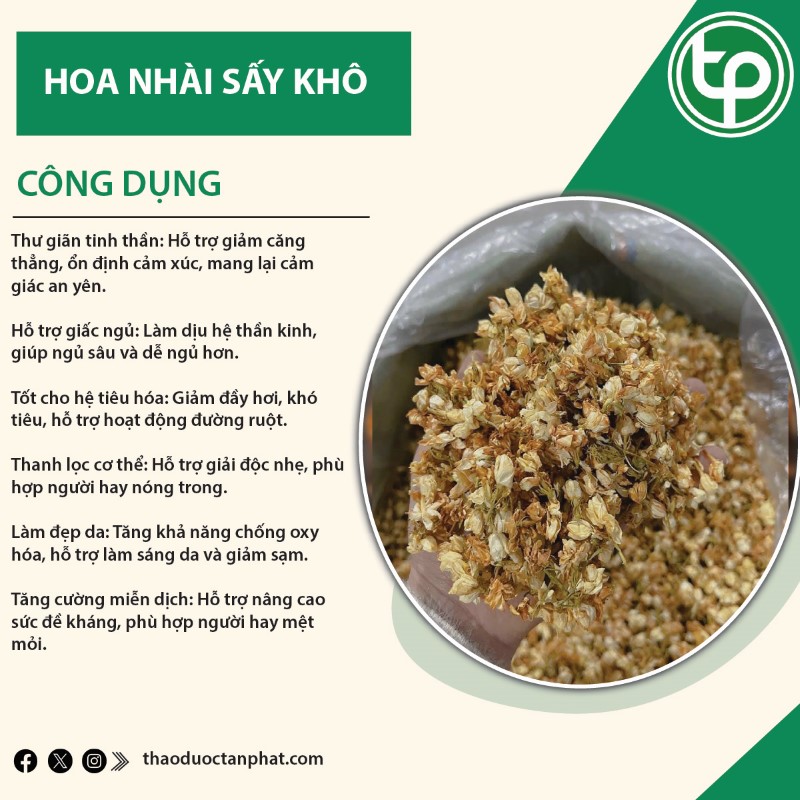 bảng giá bán hoa nhài uy tín