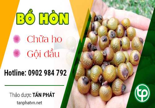 hướng dẫn sử dụng bồ hòn