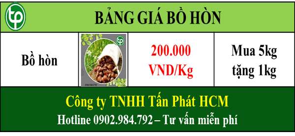 Giá bồ hòn tại tphcm giúp chữa ho trừ đờm Giá bồ hòn tại tphcm giúp chữa ho trừ đờm