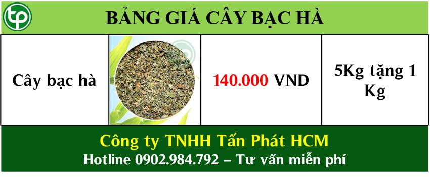 Bảng giá bán cây bạ hà uy tín