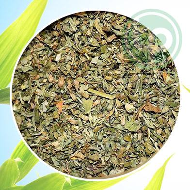 Mua Bán Sỉ Và Lẻ Cây Bạc Hà Với Nhiều Công Dụng Chất Lượng Toàn Quốc