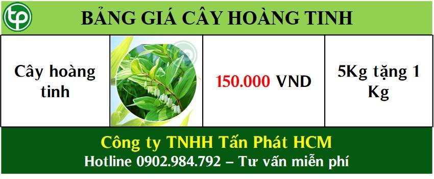 Bảng giá bán cây hoàng tinh