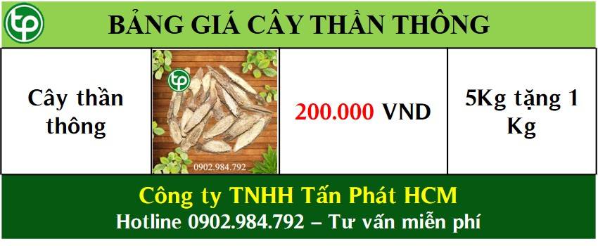 Bảng giá bán cây thần thông