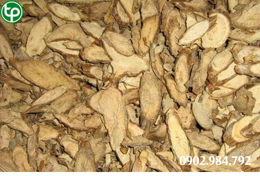 mua bán cây đau xương tại tphcm ở đâu ?