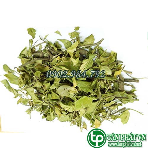 dây thìa canh khô tanphatvn
