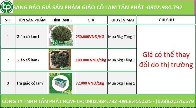 Báo giá sp Giảo Cổ Lam của CTY Tấn Phát tại Quận Hai Bà Trưng