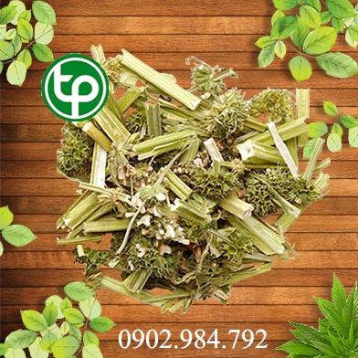 Địa chỉ mua bán cây ích mẫu tại tphcm ở đâu ?