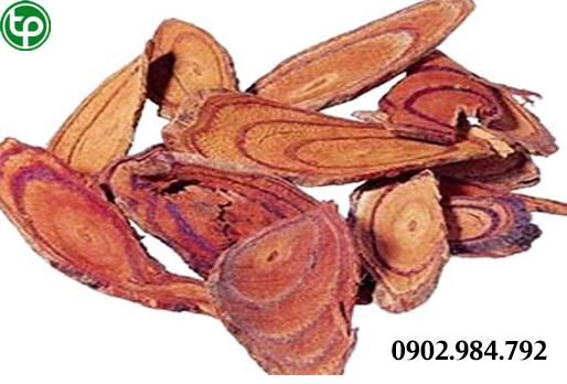 Mua bán kê huyết đằng tại tphcm ở đâu ?