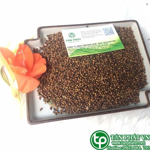 Phụ nữ có thai có sử dụng được nụ vối?