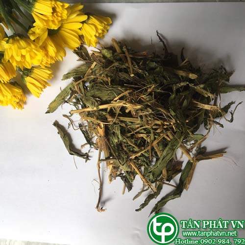 Phân phối cỏ ngọt【 tanphatvn 】2019 giá 120k/1kg