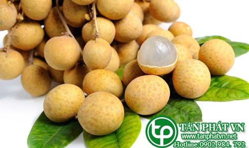 Nhãn trị cảm lạnh, sốt rét, viêm ruột, đau dạ dày