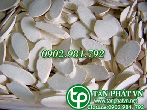 Phục linh chữa hồi hộp, ngủ không yên, mất trí, chữa phù thũng mắt Phục linh chữa hồi hộp, ngủ không yên, mất trí, chữa phù thũng mắt