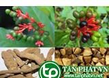 Ba  gạc dùng để trị huyết áp cao, đau đầu
