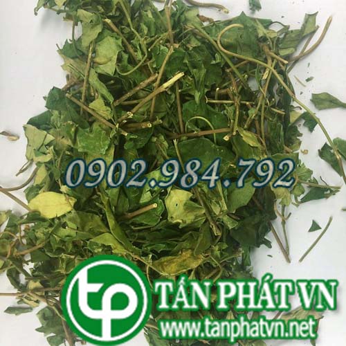 Cách phân biệt cây dây thìa canh