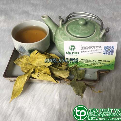 Cách phân biệt chè dung?
